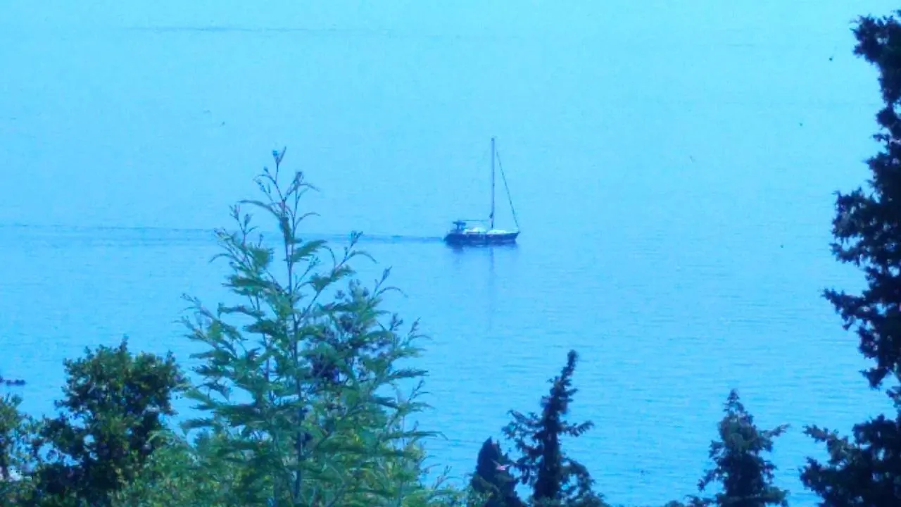 Apartment Valentina Opatija 0*,